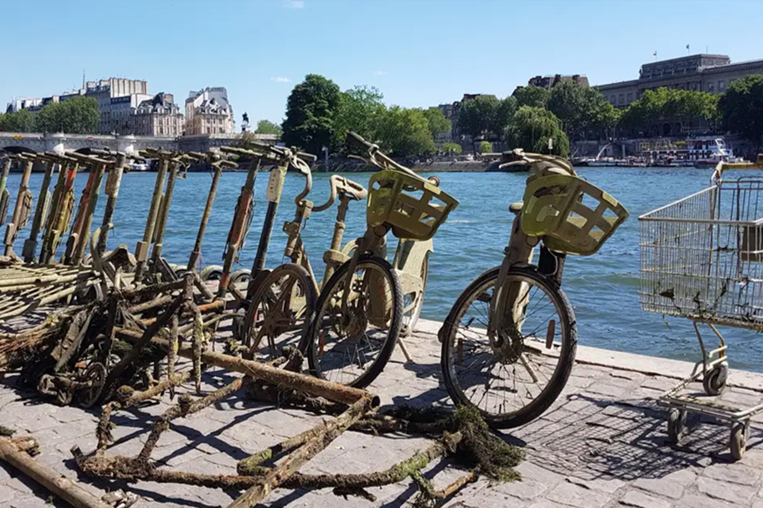 The aftermath of a magnetic fishing trip on the River Seine. Credit: <a href='https://www.businessinsider.com/french-startup-clean-the-seine-river-e-scooter-at-time-2019-8'>Guppy</a>