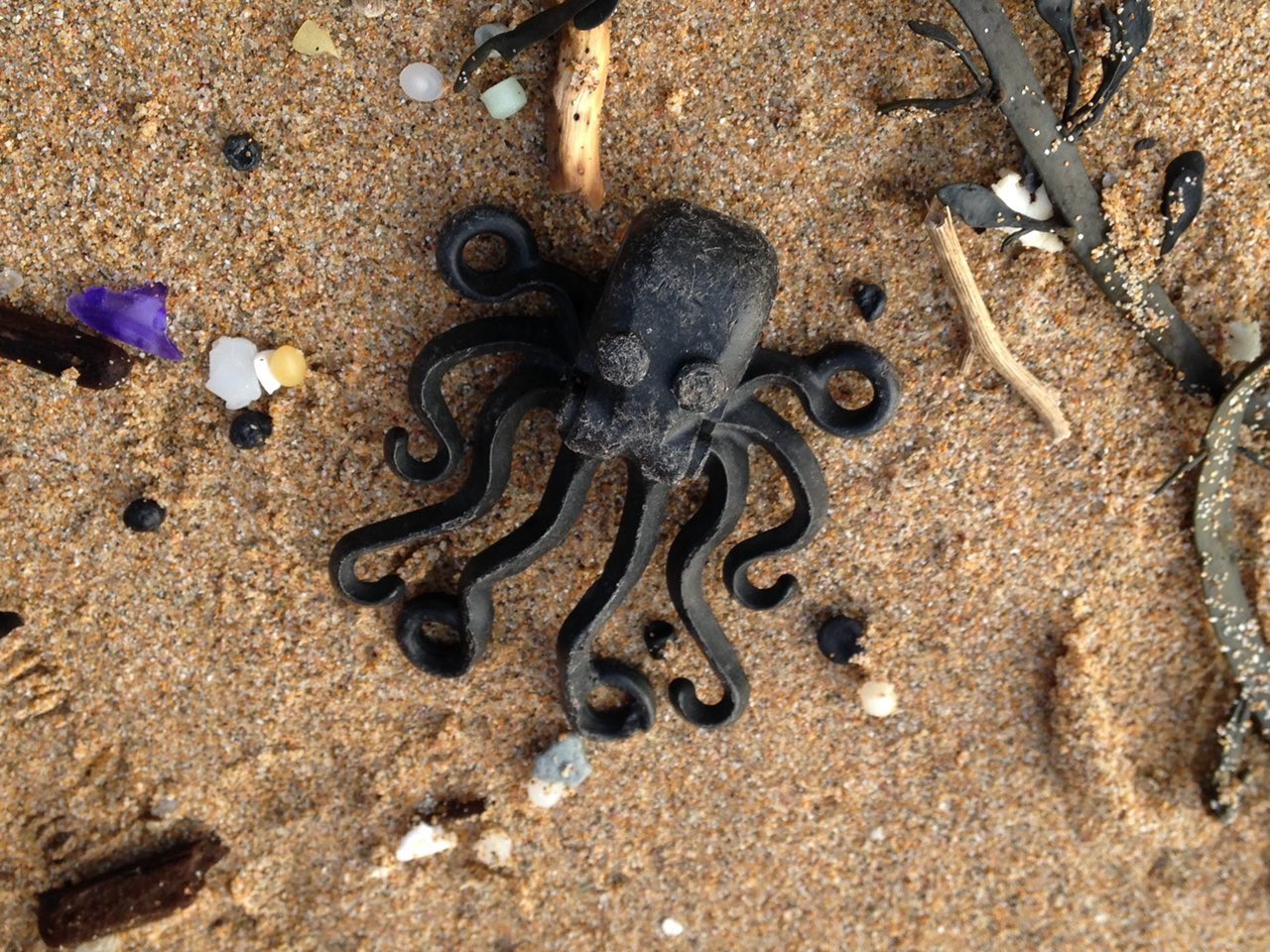 One of 4,200 Lego octopuses that fell into the ocean. Tracey found her first in 1997, and her second 18 years later. Photo credit: <a href='https://twitter.com/LegoLostAtSea/status/1711056632073908672'>Tracey Williams/Lego Lost At Sea</a>.