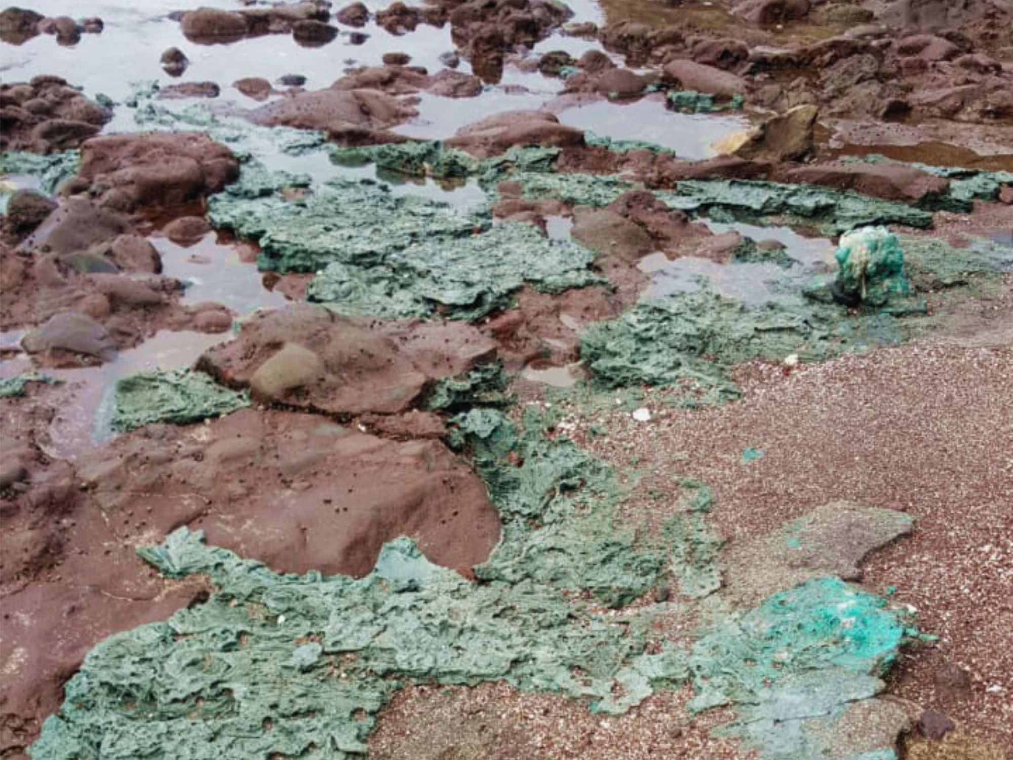 Plastic rock found on a remote Brazilian beach. Photo credit: <a href='https://www.researchgate.net/profile/Fernanda-Santos-14'>Fernanda Avelar Santos</a>